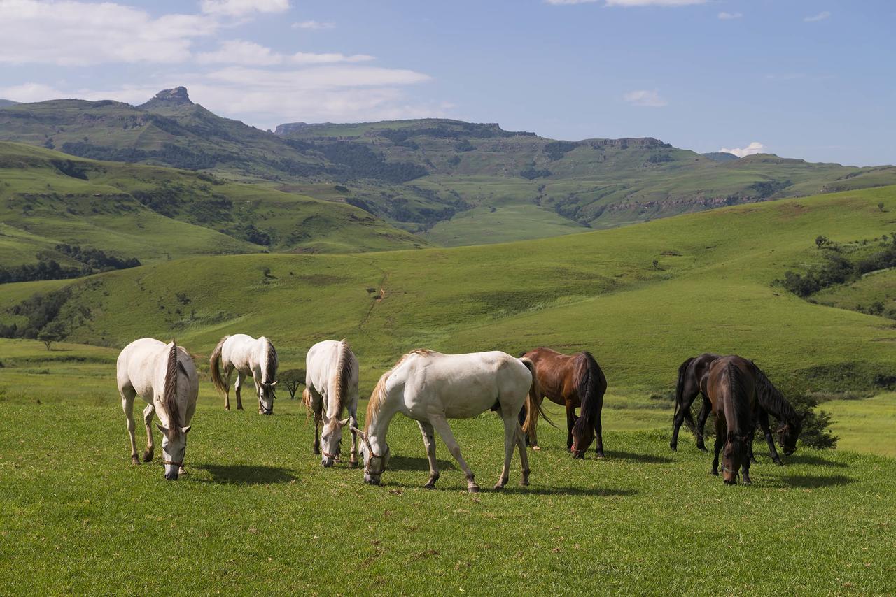 Aha Alpine Heath Resort Jagersrust Bagian luar foto